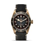 Black Bay Bronze