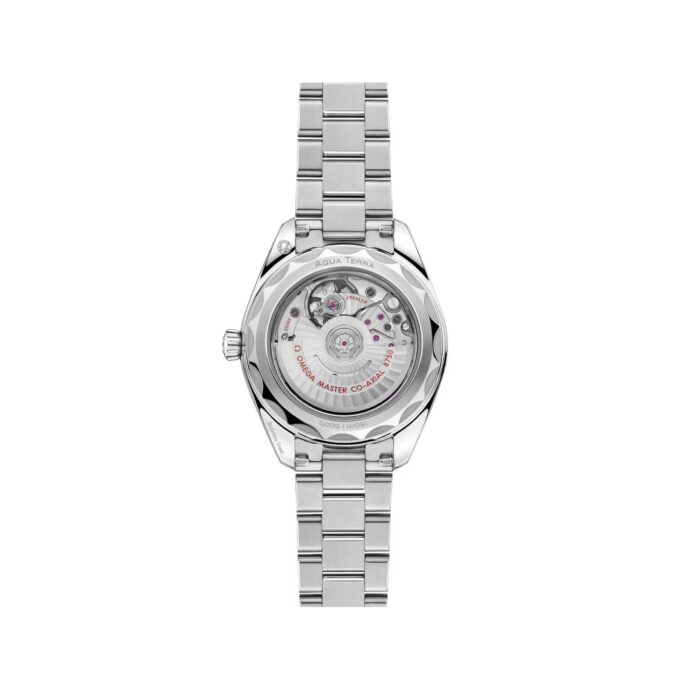 Seamaster Aqua Terra – Bild 2