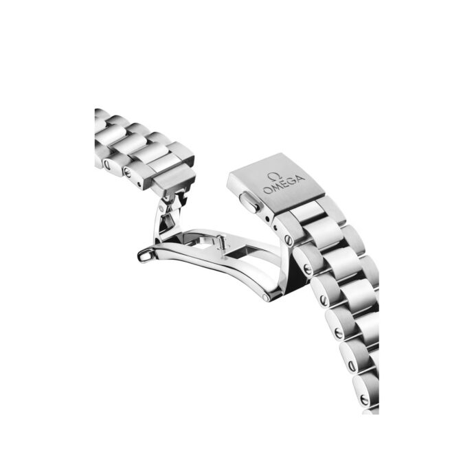 Seamaster Aqua Terra – Bild 6