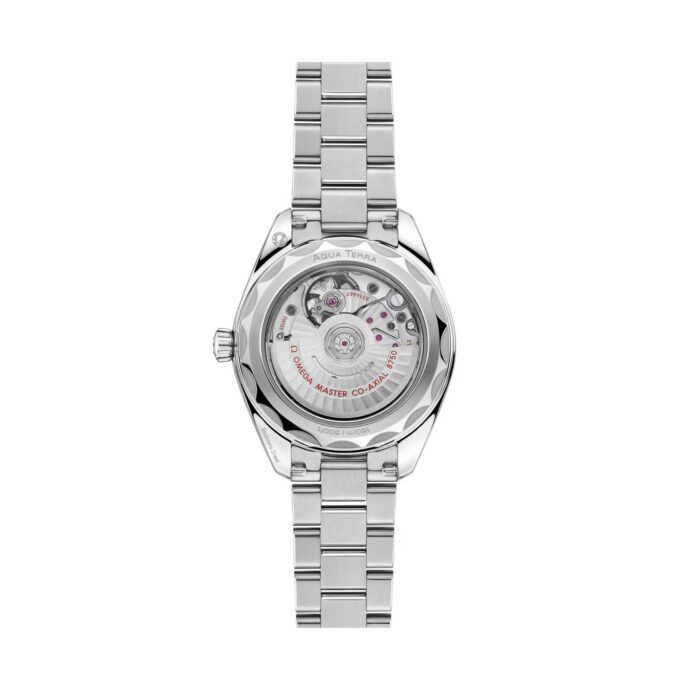 Seamaster Aqua Terra – Bild 2