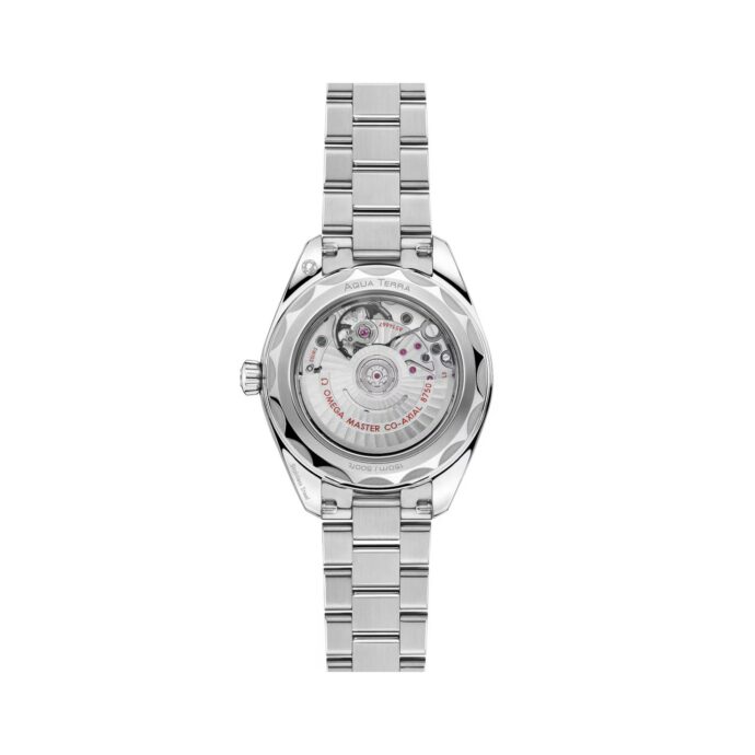 Seamaster Aqua Terra – Bild 2