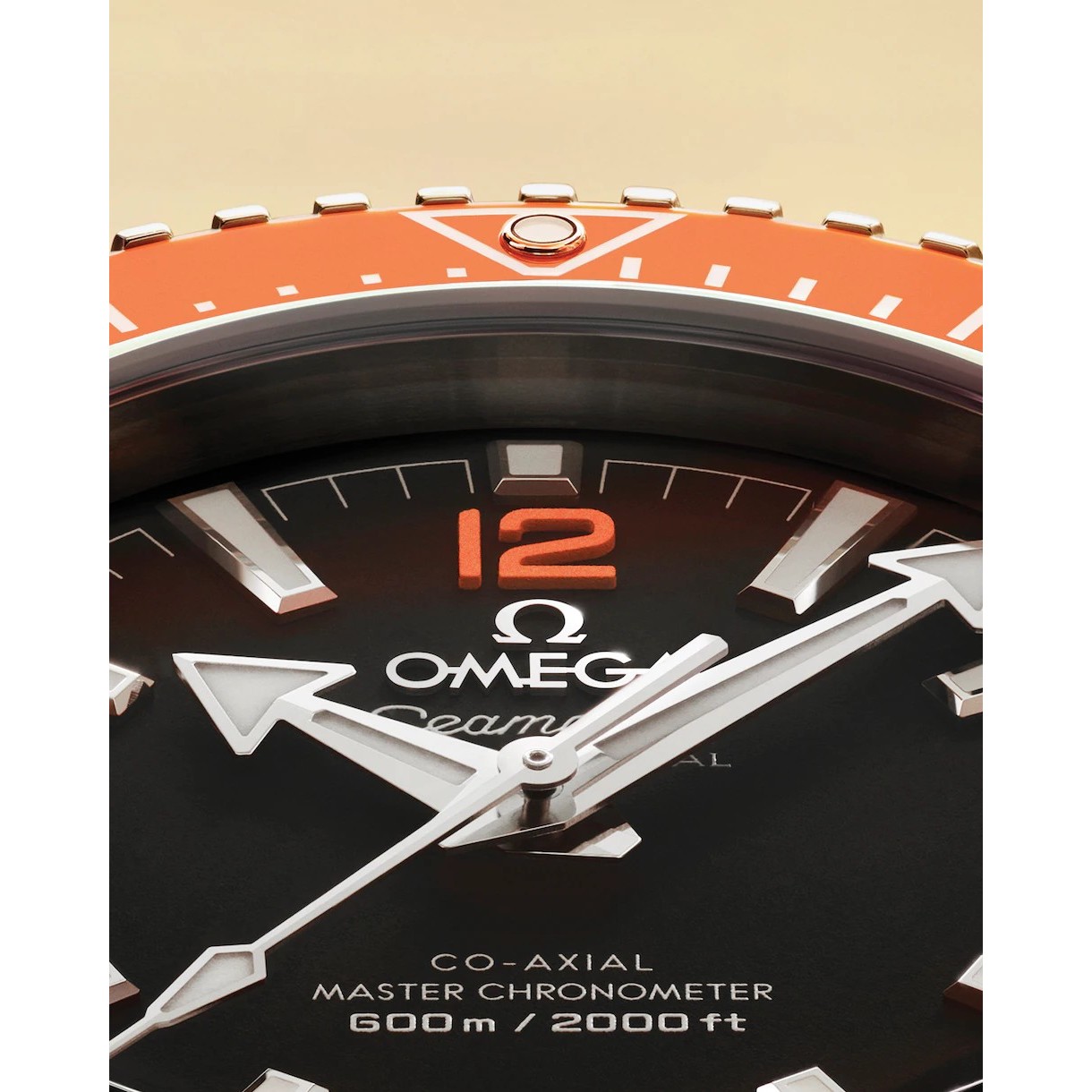 Seamaster Planet Ocean 600M 054 20245 4