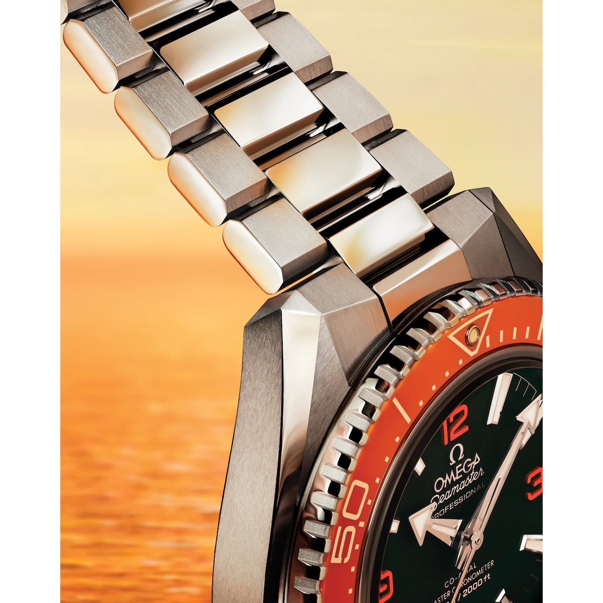 Seamaster Planet Ocean 600M 054 20245 5