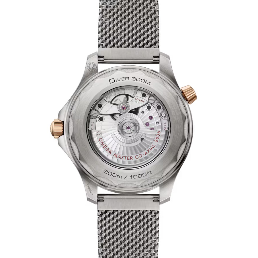 Seamaster Diver 300M 054 17893 1