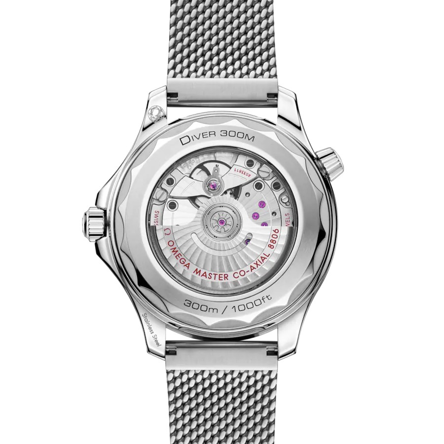 Seamaster Diver 300M 054 17821 1