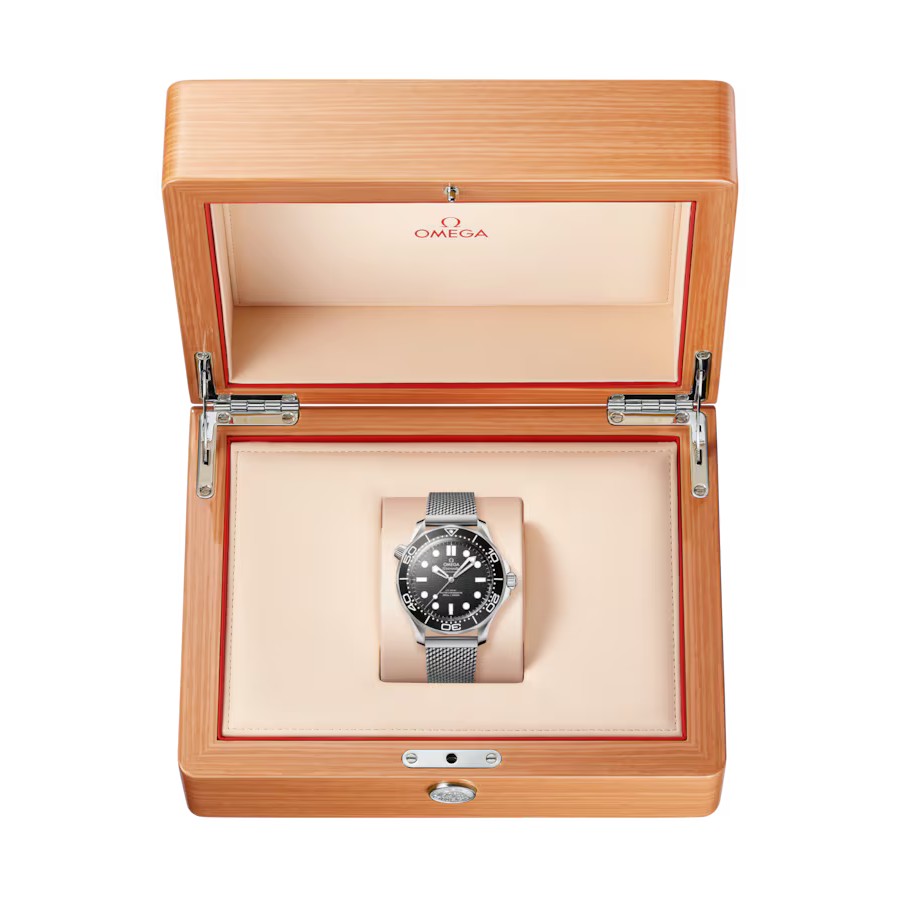 Seamaster Diver 300M 054 17821 5