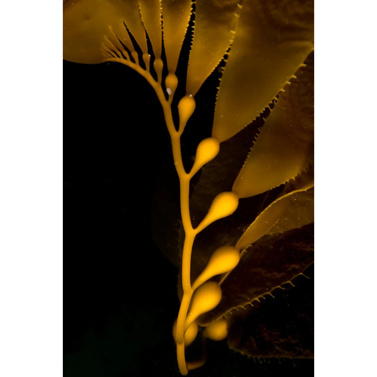 054 22574 6